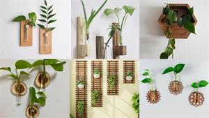 ایده های زیبای گیاهان دیواری