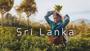 سری لانکا. بهترین مکان برای گذراندن زمستان.