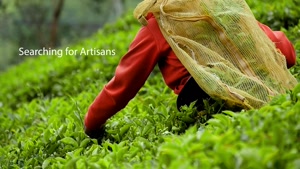قیمت چای ماسالا اصل هندی