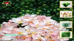 تولید دسته گل مصنوعی یاس در 3 رنگ بندی| فروشگاه ملی