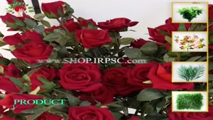 تولید شاخه گل مصنوعی رز مخمل دارای 5 گل| فروشگاه ملی