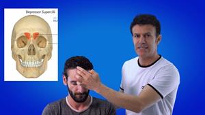 آموزش ماساژ سر و گردن / رهایی از سردرد