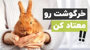 راهکار برای نگهداری از خرگوش 