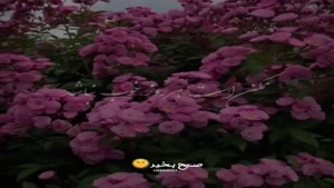 کلیپ صبح بخیر لاکچری برای گروه