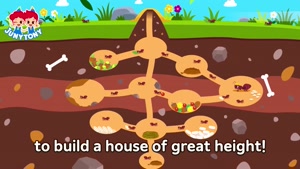 Homes of Insects