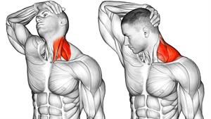 بهترین حرکات کششی برای گردن شما