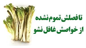 تا فصلش تموم نشده از خواصش غافل نشو