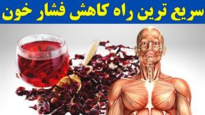 سیزده خاصیت حیرت آور چای ختمی (چای ترش) که باید بدانید