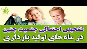 راه های تشخیص احتمالی جنسیت جنین در ماه های اولیه بارداری