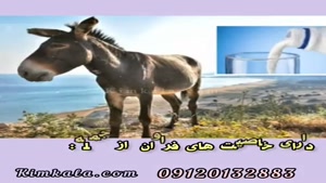 خرید شیر الاغ تازه و خالص۰۹۱۲۰۱۳۲۸۸۳