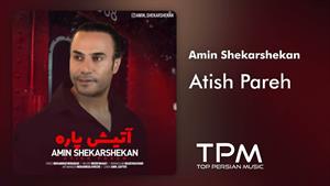 Amin ShekarShekan - امین شکرشکن
