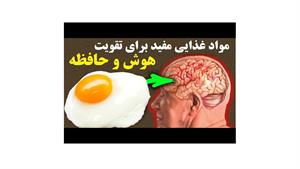 مواد غذایی مفید برای تقویت هوش و حافظه 