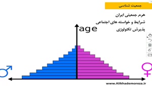 تحلیل هرم سنی-جنسی در تعیین بازار هدف مشتریان