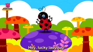 Ladybug song