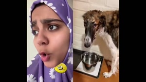 کلیپ طنز شقایق محمودی - رفتم تو کف این پسره 🤣🤣🤣عاشق شدم 