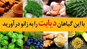 17 گیاهی که دیابت را به زانو در می آورد