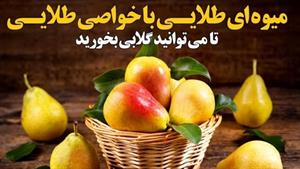 میوه ای طلایی با خواصی طلایی