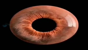 چشم انسان زیر میکروسکوپویدئو