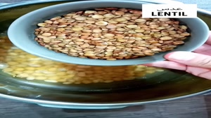 طرز تهیه ی آش کشک / آش سنتی ایرانی 