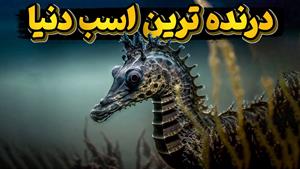 اسب دریایی درنده ترین موجود آبهای زمین