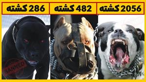 خطرناک ترین سگ های دنیا 