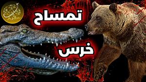 نبرد حیوانات - نبرد بین خرس گریزلی و تمساح