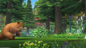 کارتون خرس های محافظ جنگل - هیئت مددکاری