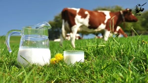 در مصرف شیر تجدید نظر کنید