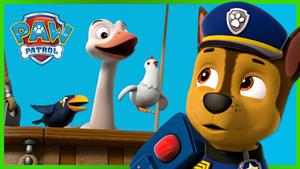 انیمیشن سگهای نگهبان / دزدان دریایی، پرندگان نجات 