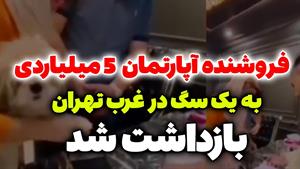 دستگیری سازندگان کلیپ فروش آپارتمان به یک سگ