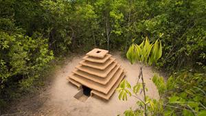 ساخت معبد زیرزمینی در جنگل