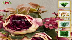 تولیدبوته گل تزیینی پیونی مدل 9 گل کیفیت درجه یک پخش از فروش