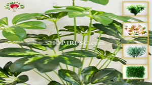 تولید درختچه مصنوعی 18 برگ لمسی مدل شفلرا ابلق پخش از فروشگا