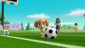 کارتون جدید و شاد سگهای نگهبان با داستان سگ و بازی فوتبال