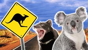 حیوانات استرالیایی /  حیوانات وحشی عجیب