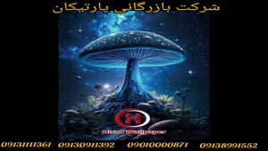 آلبوم کاغذ دیواری ماشروم MUSHROOM