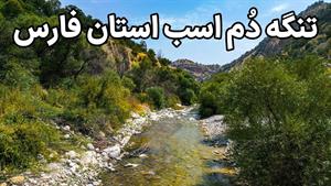 کوهمره سرخی یکی از مناطق زیبای استان فارس