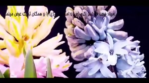 کلیپ میلاد پیامبر و امام صادق / کلیپ در مورد عید مبعث 