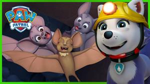 کارتون سگهای نگهبان - اورست یک خانواده خفاش را نجات می دهد