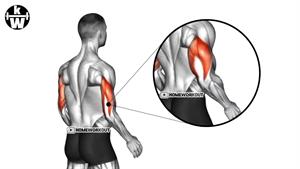 تمرینات بازو با کارایی بالا در خانه - عضله دوسر بازو، سه سر