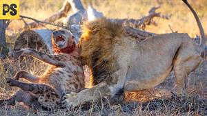 15 وحشیانه ترین لحظه مبارزه بین شکارچیان وحشی