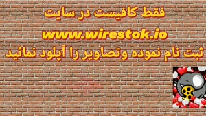 کسب در آمد دلاری با آپلود عکس و فیلم