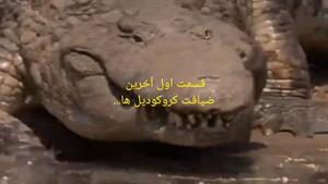 مستند آخرین ضیافت کروکدیل ها دوبله فارسی پارت اول