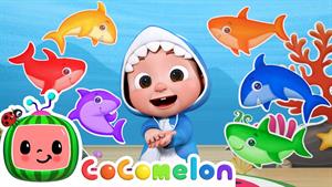 انیمیشن کوکوملون - بچه کوسه رنگ ها را یاد می گیرد