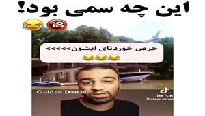 کلیپ خنده دار / حرص خوردناش 