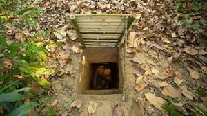 ساخت مخفی ترین پناهگاه زیرزمینی بامبو 