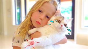ماجراهای ناستیا - استیسی و بهترین داستان های گربه برای بچه ه