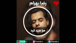 رضا بهرام - مرا صید کرد