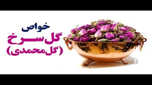 گل محمدی گنجینه ای از خواص شگفت انگیز