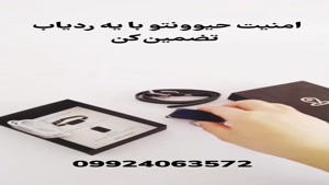 ردیاب حیوانی برای سگ پامرانین 